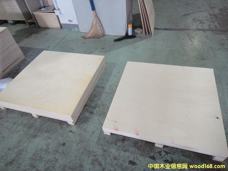 ȫ��ľ�z�ϰ��Ԕ����B