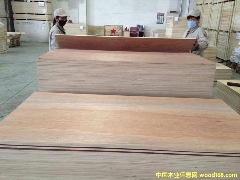 ���ǹ��z�ϰ��Ԕ����B