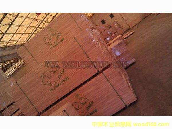 �M(j��n)��̩��(gu��)���zľָ�Ӱ��Ԕ��(x��)��B