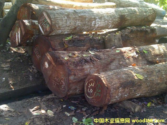 ӡ���һ�оľ��Ԕ����B