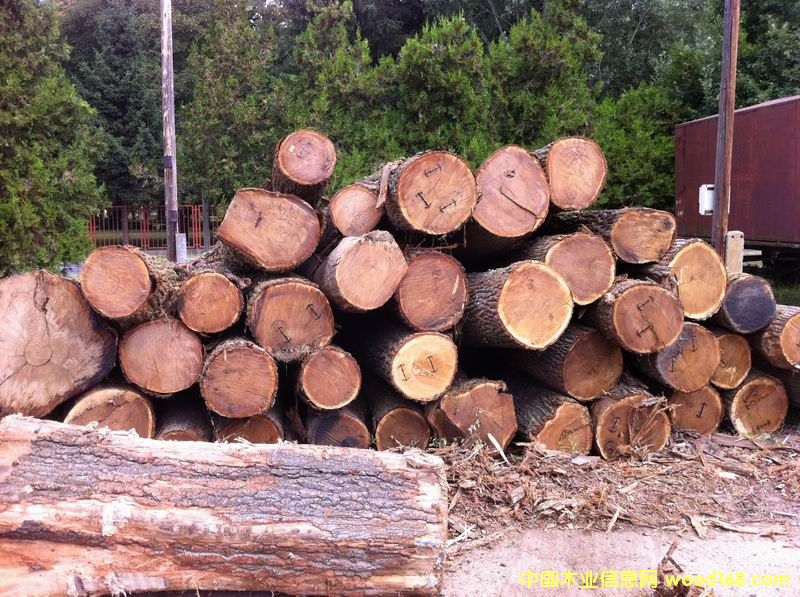 �W����ľ����ľ��Ԕ����B