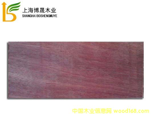 山樟木的詳細介紹