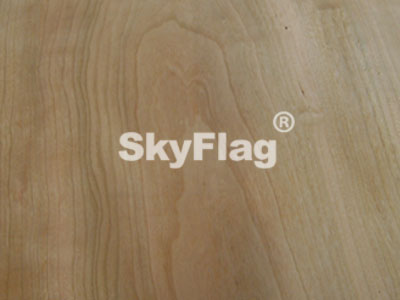 2012�����ľƤ