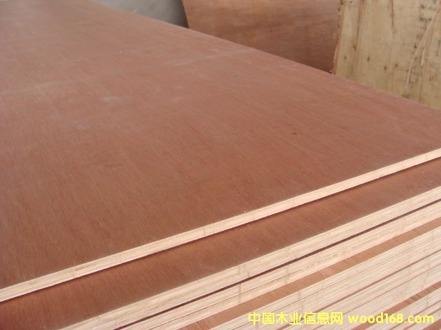 ���ǹ��z�ϰ�