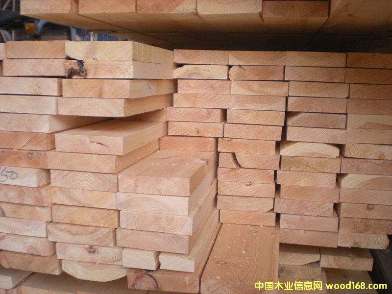 ��˾����