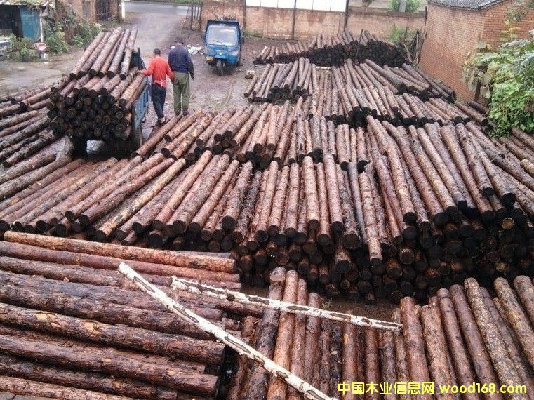 ���~��ԭľ