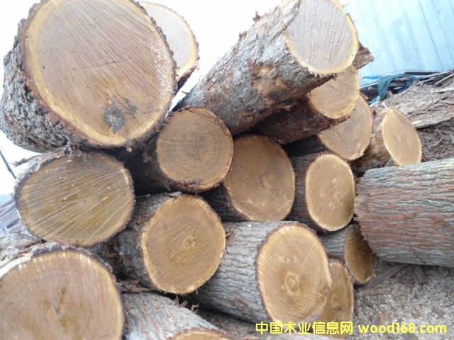 ���м�����ԭľ