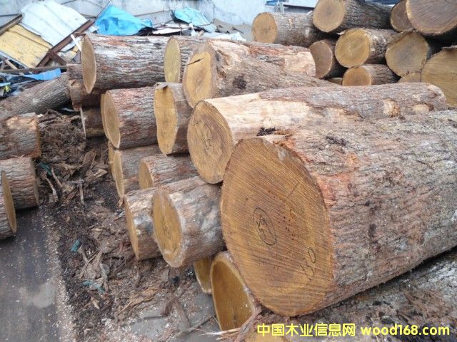 ���м�����ԭľ