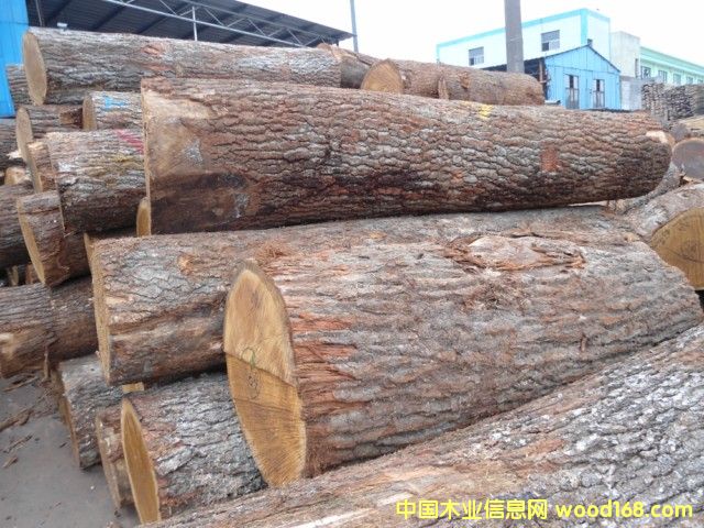 ���м�����ԭľ