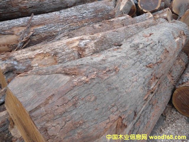 ���м�����ԭľ