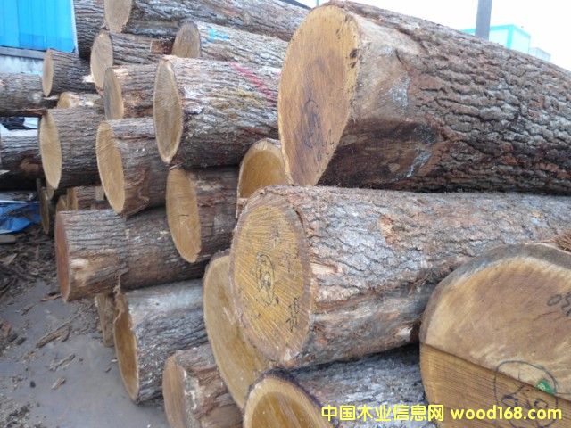 ���м�����ԭľ