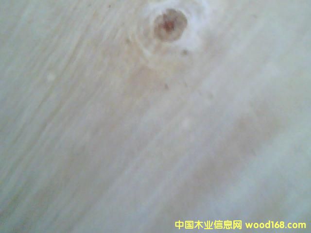 ��ľľƤ�ΰ�