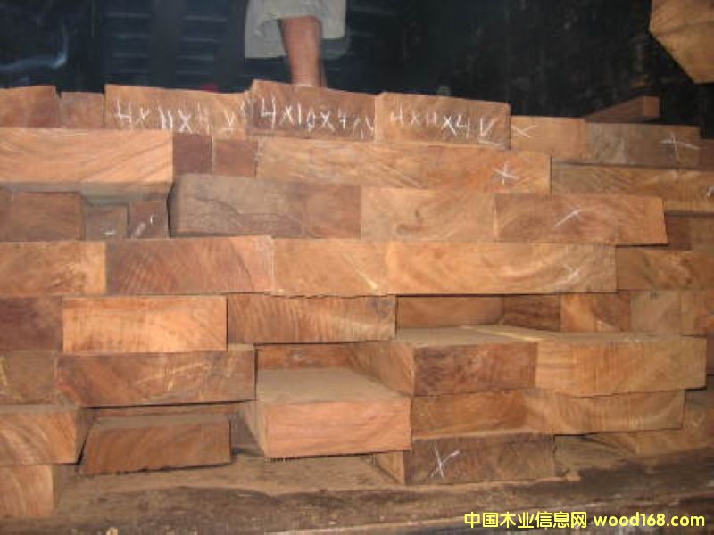 �߼�(j��)�Ҿ���ľ Zenisero