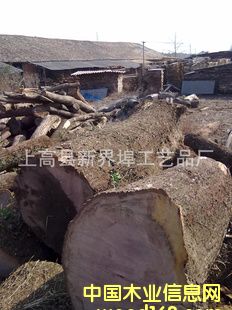 ��(y��u)�|(zh��)����ľԭľ