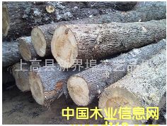 ��(y��u)�|(zh��)���ľԭľ