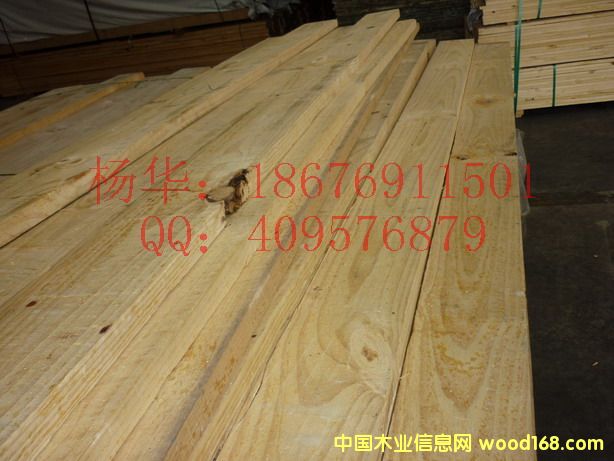 FSC�����m��