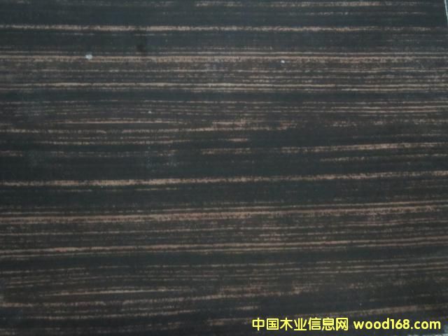 ����ӡȾ����