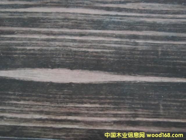 ����ӡȾ����