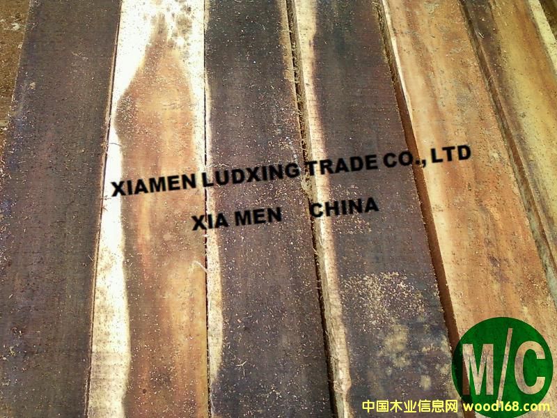 ������˼ľ7