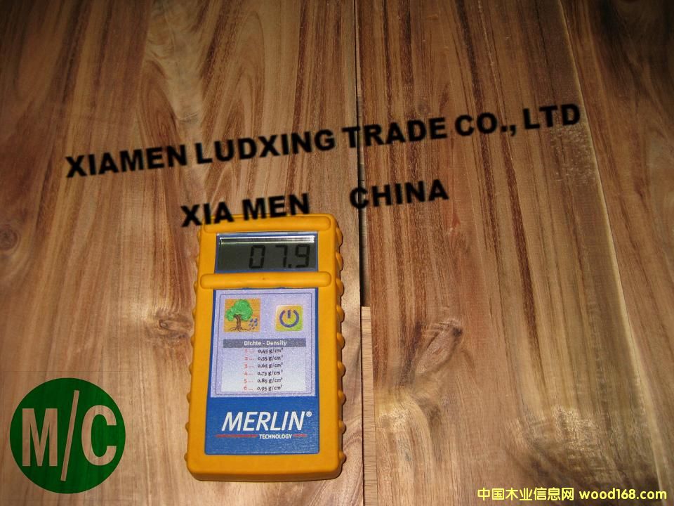 ��˼ľ�ذ����ϣ�С�~��˼ľ��acacia