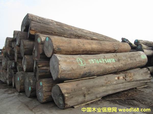 ����ľ��Ԕ��(x��)��B