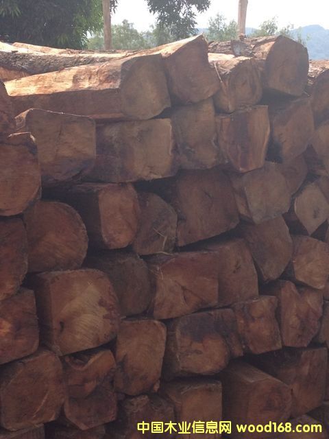 �����S����(�����̴) ��