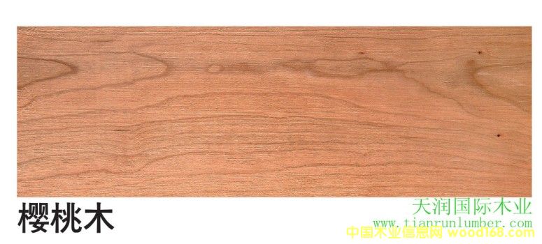 ����ľ&����(gu��)����ľ��Ԕ��(x��)��B