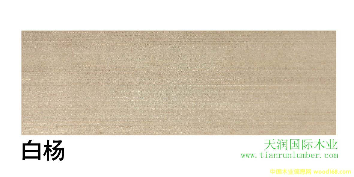 �ח�&����(gu��)�ח��Ԕ��(x��)��B