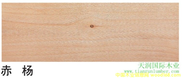 ����&����(gu��)����ľ��Ԕ��(x��)��B