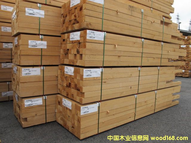 ����ľ�tѩ�ɵ�Ԕ��(x��)��B