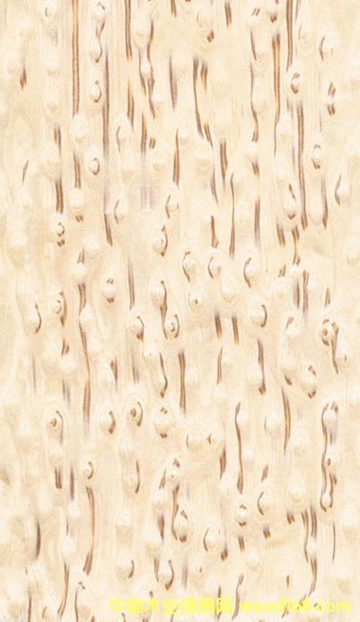 ���l�Fľ��ߙn������ľƤ �¿�ľƤ�Ӱ� ����ľƤ�S��