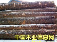 �t�ɈAľ���a