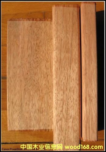 ����ľ�����Xһ�����|(zh��)����ô�ӣ��Ϻ����hľ�I(y��)��Ԕ����B