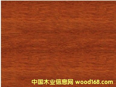 ����(y��ng)�y��ľ��ġ��y��ľ����r���Ϻ��S���y��ľֱ�N��Ԕ����B