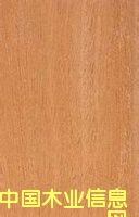 �S�ҟ��Nɳ������� ɳ���� ɳ�����S�ҵ�Ԕ����B