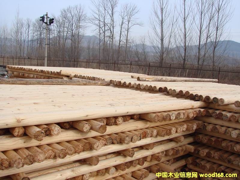 ɼľ�G���U��Ԕ��(x��)��B