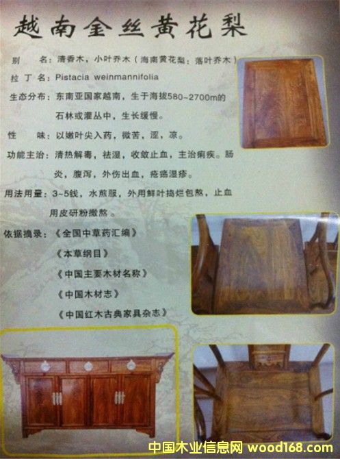 ��z�S����