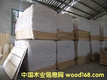 ��ľ��Ƥ��Ԕ����B