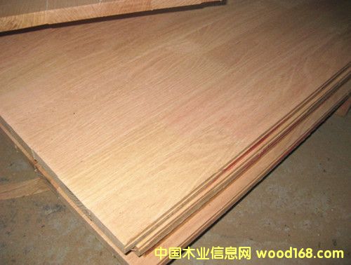 �����t��ָ�Ӱ�