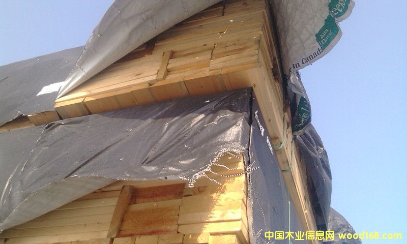 ����A������