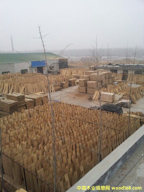 �ذ�������W�� ����