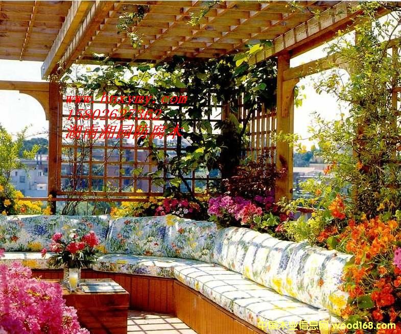 ���Ϸ���ľ���񻨼ܵ�Ԕ����B