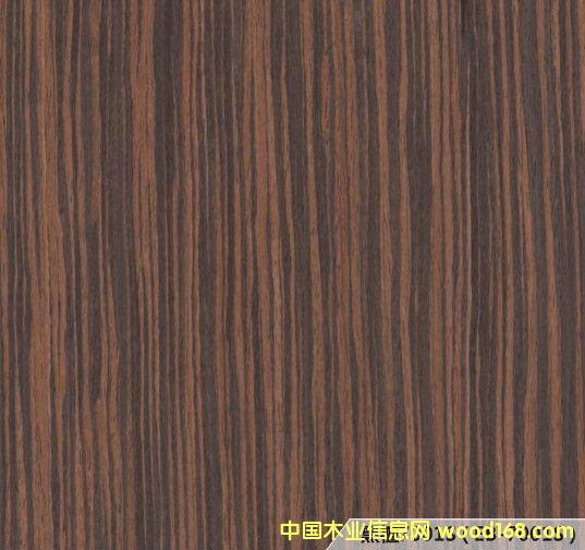 �Ƽ�ľƤ��Ԕ����B