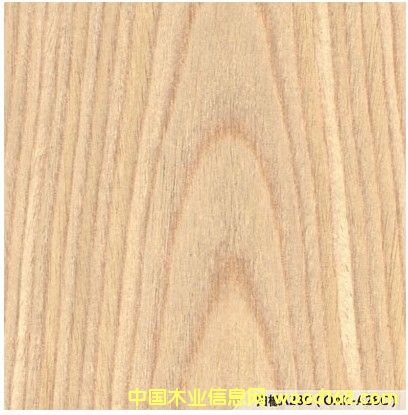 �Ƽ�ľƤ��Ԕ����B