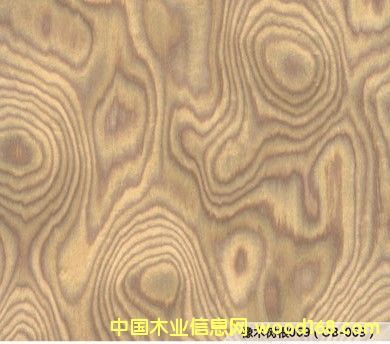 �Ƽ�ľƤ��Ԕ����B