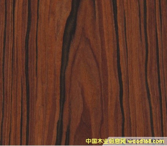 �Ƽ�ľƤ��Ԕ����B