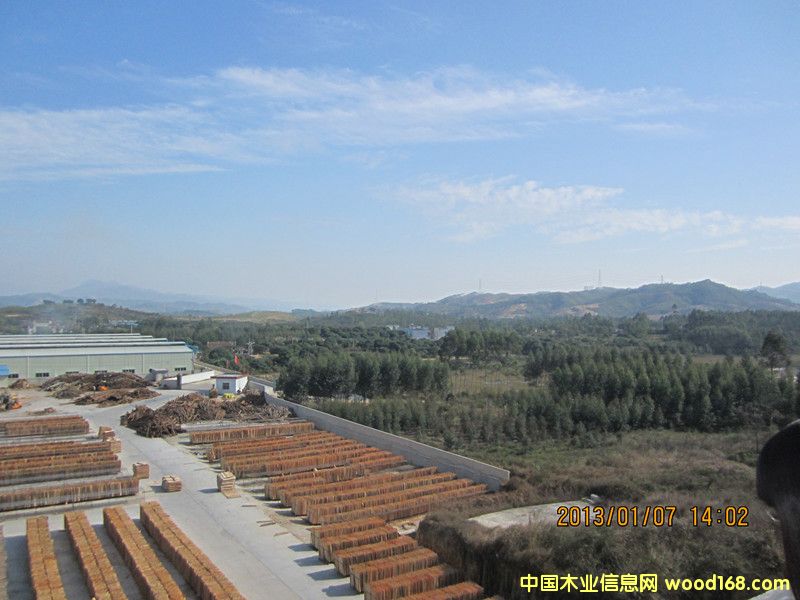 �����L����Ԕ����B