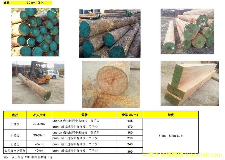 ��������ľ-õ��ľԭľ�Ͱ�ĵ�Ԕ����B