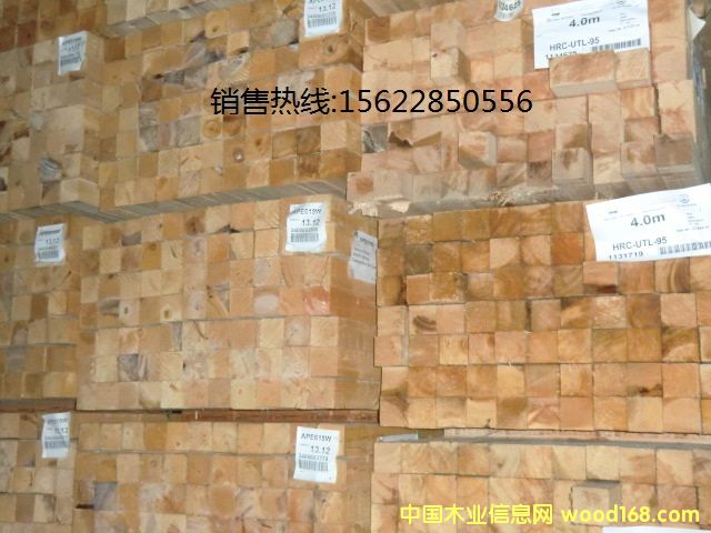 �Fɼ��Ԕ����B