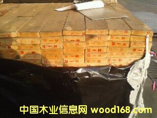 ������,��ľ,��ľ